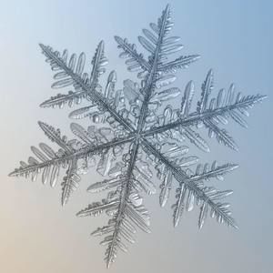 Meet your Posher, Candace